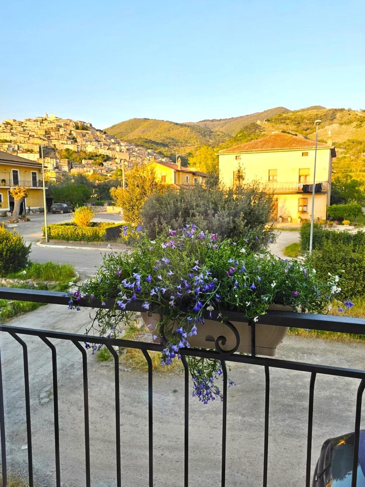 Casa Semeria Certosa Di 파둘라 외부 사진